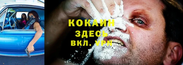гашик Арсеньев
